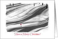 Merry Christmas-Snowy Forest-Shadows-Black & White-Red Bow-Photo card
