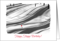 Happy December Birthday-Snowy Forest-Shadows-Black & White-Red Bow card