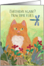 Garden Tabby Cat and Dragon Fly Birthday card