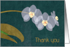 Orchids to Say Thank You for Thoughtfulness card