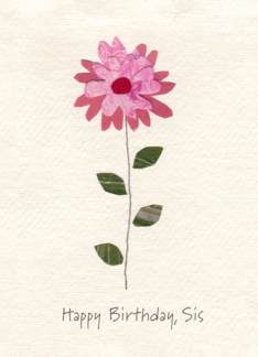 A Simple Pink Flower...