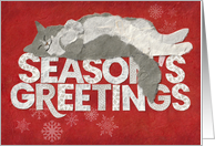 Fluffy Cat Lays on Season’s Greetings card