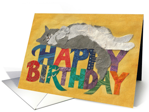 Fluffy Cat Lays on Happy Birthday card (1583424)