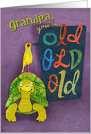 Bird on Tortoise Says Grandpa’s Old Old Old card