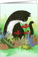 Thinking of You Tuxedo Cat in Garden card