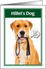 Jewish Humor Hillel’s Dog Funny Graduation Card