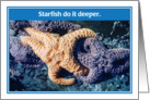 Starfish Do It Deeper Birthday Card