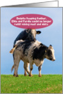 Jewish Humor Kosher Cows Mating Funny Birthday Card