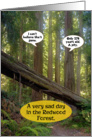 Sad Day Redwood Forest Funny Birthday Card