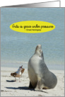 Sea Lion Seagull Guts Grace Under Pressure Funny Birthday Card