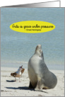 Sea Lion Seagull Guts Grace Under Pressure Friendship Card