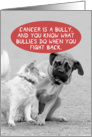 Cancer Bully Little Dog Scares Big Dog Fight Back Funny Get Well Card