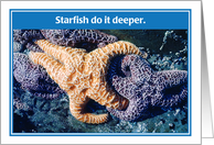 Starfish Lovers Do It Deeper Anniversary Card