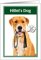 Jewish Humor Hillel’s Dog Bar/Bat Mitzvah Card