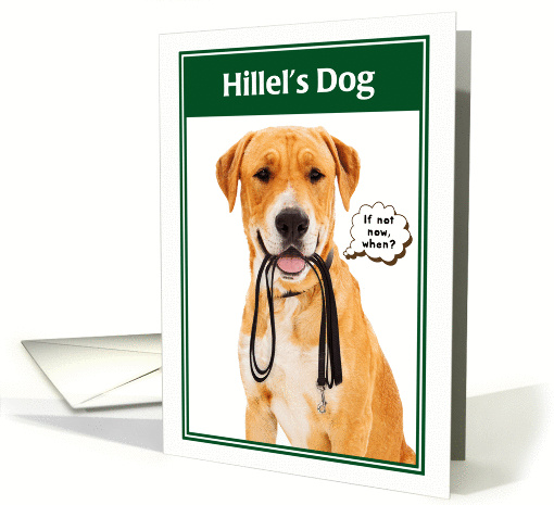 Jewish Humor Hillel's Dog Funny Graduation card (1239428)