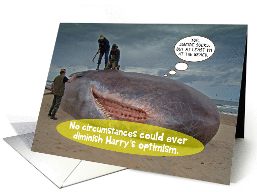 Beached Sperm Whale Suicide Sucks Funny Birthday card (1254948)