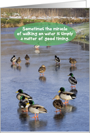Miracle Walk On Water Funny Happy Anniversary Card