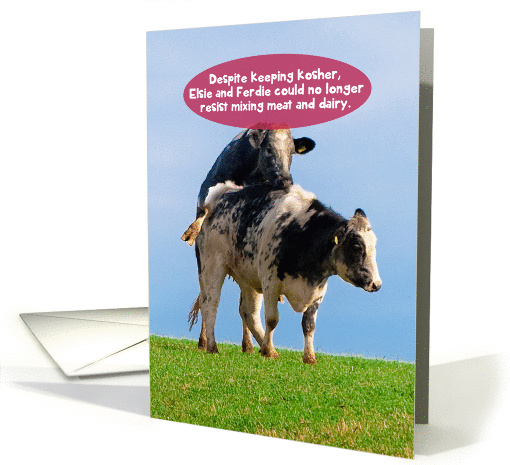 Jewish Humor Kosher Cows Mating Funny Anniversary card (1266038)