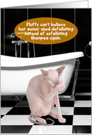 Defoliated Fluffy Hairless Cat Funny Friendship Card