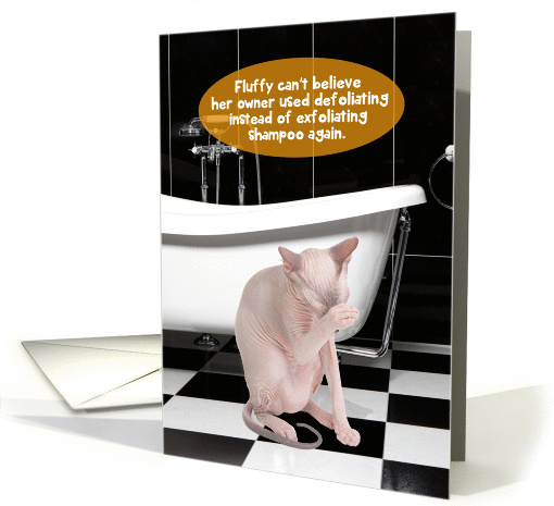 Defoliated Fluffy Hairless Cat Funny Hair Transplant Get Well card