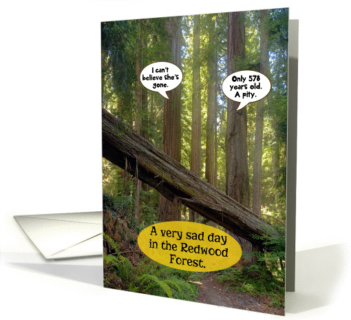 Sad Day Redwood Forest Funny Friendship card (1287058)