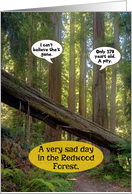 Sad Day Redwood Forest Funny Friendship Card