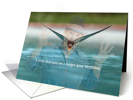 Little Bird Told Me (woman) I Forgot Funny Belated Birthday card