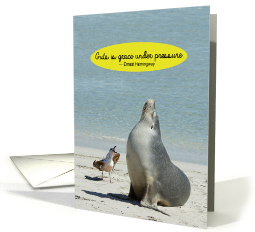 Sea Lion Seagull Guts Grace Under Pressure Funny Birthday card