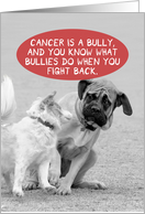 Cancer Bully Little Dog Scares Big Dog Fight Back Funny Get Well Card