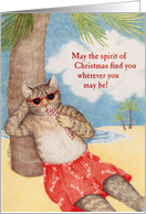 Tabby Cat on the Beach Christmas Card