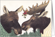 Mistletoe Moose Christmas card