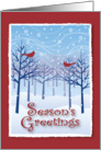 Season’s Greetings leafless trees, snow falling and red bird card