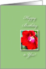 Floral Birthday, Beautiful Red Hollyhock on Pale Green Background card