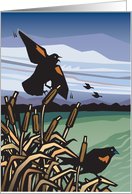 Aviarian pair Red Wing Blackbird in cattails at stormy lake card