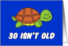 30 Isn’t Old Cute Turtle card