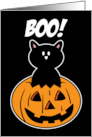 Black Cat and Pumpkin Cute Halloween card
