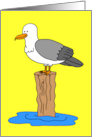 Seagull I Love You Funny card