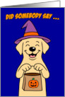 Halloween Dog Did Somebody Say Treats Cute card