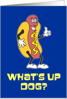 What’s Up Dog Summer Camp Pun card