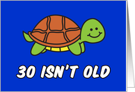30 Isn’t Old Cute Turtle card