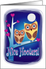 Nice Hooters - any occasion, funny card