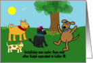 Collar ID - dogs, park, grass, tree, caller id, dating, funny card