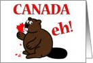 Canada Eh! beaver, maple leaf, Canada Day, funny card