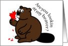 Are You Lookin? beaver, maple leaf, Canada Day, funny card