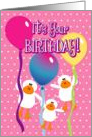 Quacking Up Birthday - white ducks, balloons, pink, white polka-dots card