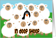 In Deep Sheep - any occasion, funny card
