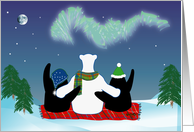 Northern Lights - Christmas, Winter, Friends card