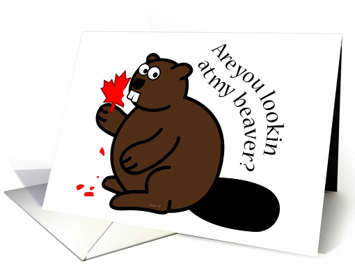 Are You Lookin? beaver, maple leaf, Canada Day, funny card (1279324)