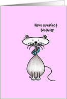 Cat with large collar and a smile - Have a perfect birthday card