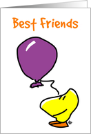 Happy Birthday best friends fun card